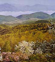 Горы Аппалачи